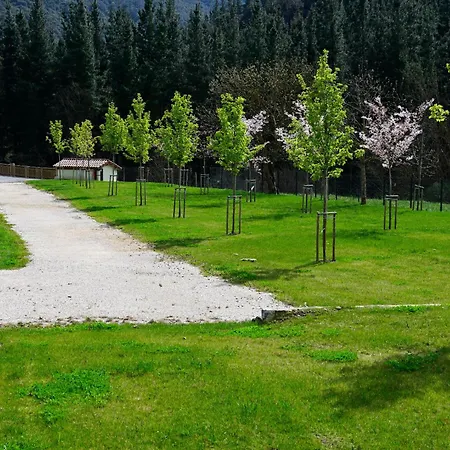 Liebana